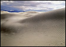 Sensuous dune forms. Death Valley National Park, California, USA. (color)