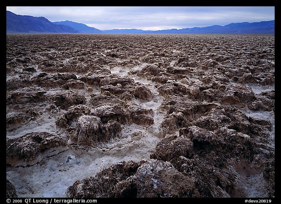 Lumpy salts of Devils Golf Course. Death Valley National Park, California, USA.