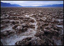 Lumpy salts of Devils Golf Course. Death Valley National Park, California, USA. (color)
