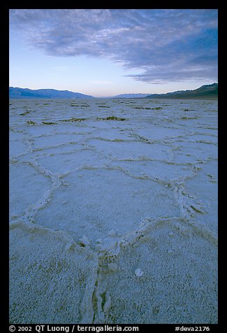 Hexagonal stress tiles on saltpan near Badwater, sunrise. Death Valley National Park, California, USA.