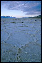 Hexagonal stress tiles on saltpan near Badwater, sunrise. Death Valley National Park, California, USA.