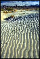 Ripples on Mesquite Sand Dunes. Death Valley National Park, California, USA.