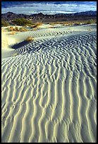 Ripples on Mesquite Sand Dunes. Death Valley National Park, California, USA. (color)