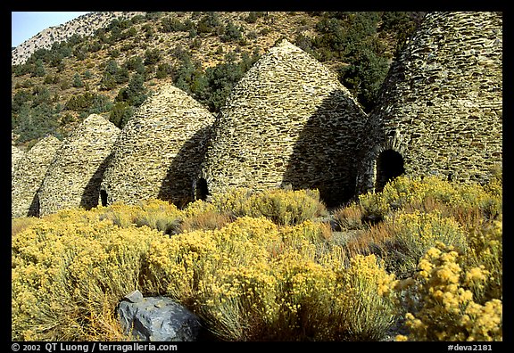 Charcoal Kilns near Wildrose. Death Valley National Park (color)