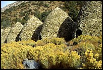 Charcoal Kilns near Wildrose. Death Valley National Park, California, USA.