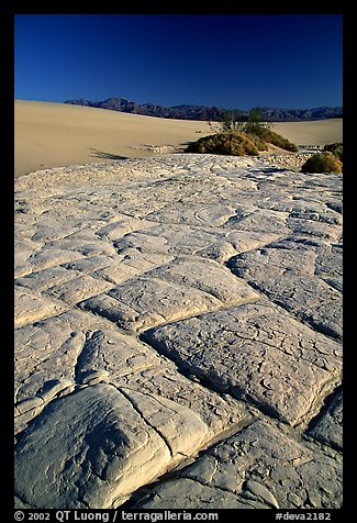 Dried mud formations in Mesquite Sand Dunes, early morning. Death Valley National Park, California, USA.