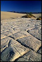 Dried mud formations in Mesquite Sand Dunes, early morning. Death Valley National Park, California, USA. (color)