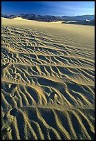 Ripples on Mesquite Sand Dunes, early morning. Death Valley National Park, California, USA.