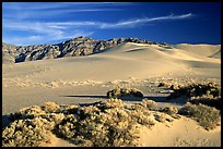 Eureka sand dunes, late afternoon. Death Valley National Park, California, USA.