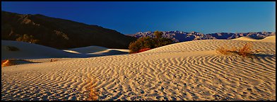 Desert landscape with sand ripples, Mesquite dunes. Death Valley National Park, California, USA.