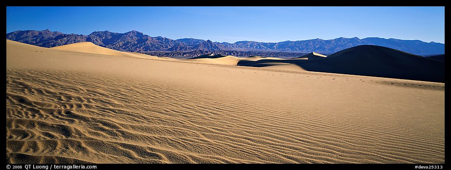 Landscape of sand dunes and mountains. Death Valley National Park (color)