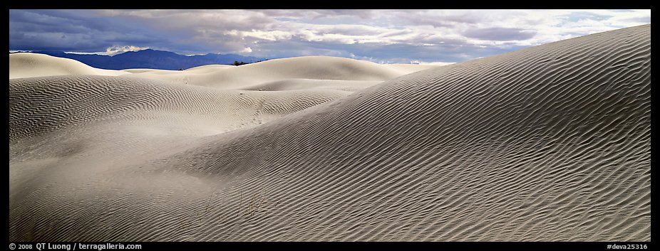 Desert sand dune landscape. Death Valley National Park (color)