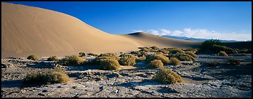 Desert landscape with mud slabs, bushes, and sand dunes. Death Valley National Park, California, USA.