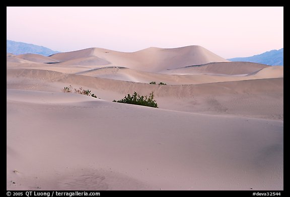 Mesquite sand dunes at dawn. Death Valley National Park, California, USA.