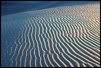 Sand ripples close-up, sunrise. Death Valley National Park, California, USA. (color)