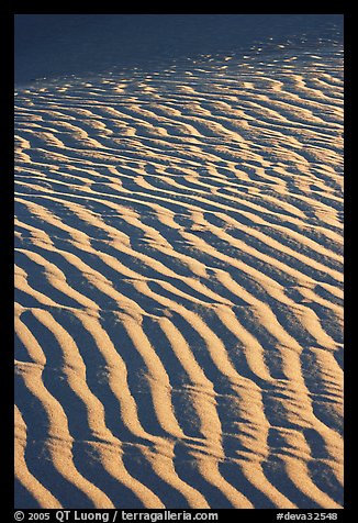 Close-up of Sand ripples, sunrise. Death Valley National Park, California, USA.