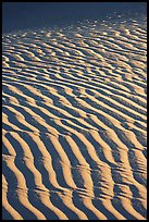 Close-up of Sand ripples, sunrise. Death Valley National Park, California, USA. (color)