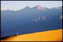 Photographer on dune ridge at sunrise. Death Valley National Park, California, USA.