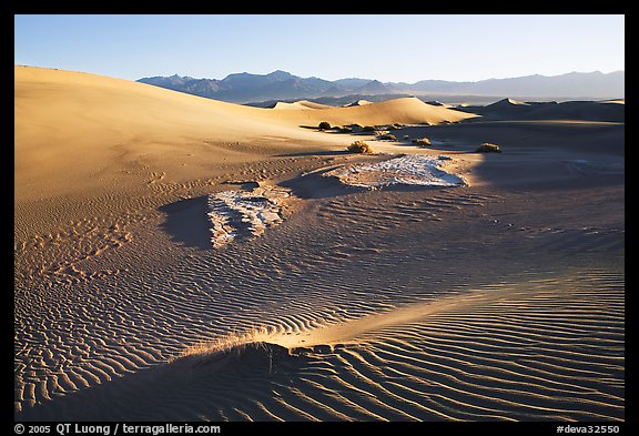 Depression in dunes with sand ripples, Mesquite Sand Dunes, early morning. Death Valley National Park, California, USA.