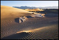 Depression in dunes with sand ripples, Mesquite Sand Dunes, early morning. Death Valley National Park, California, USA.