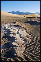 Cracked mud and sand ripples, Mesquite Sand Dunes, early morning. Death Valley National Park ( color)