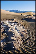 Cracked mud and sand ripples, Mesquite Sand Dunes, early morning. Death Valley National Park, California, USA. (color)