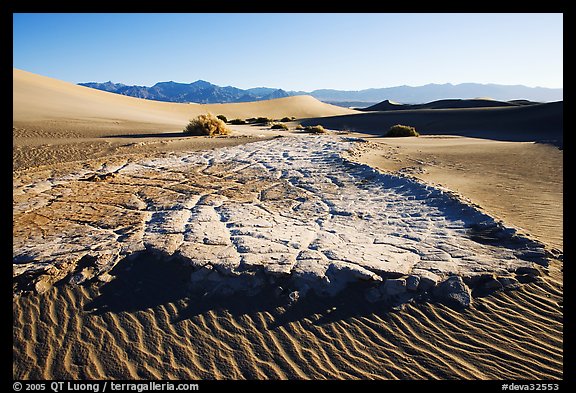 Cracked mud and sand ripples, Mesquite Sand Dunes, early morning. Death Valley National Park, California, USA.