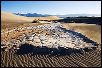 Cracked mud and sand ripples, Mesquite Sand Dunes, early morning. Death Valley National Park, California, USA.