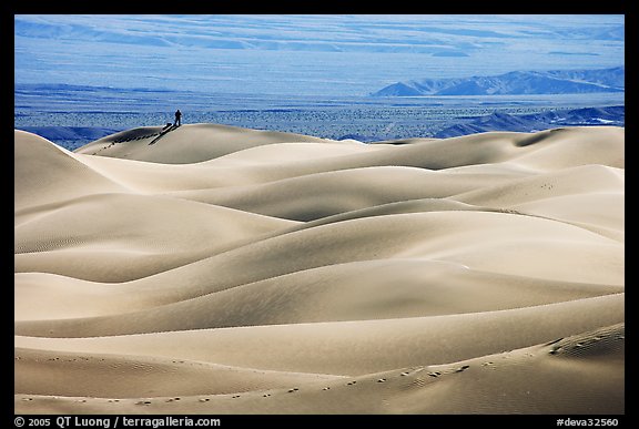 Dune ridges with photographer in the distance, Mesquite Sand Dunes, morning. Death Valley National Park, California, USA.