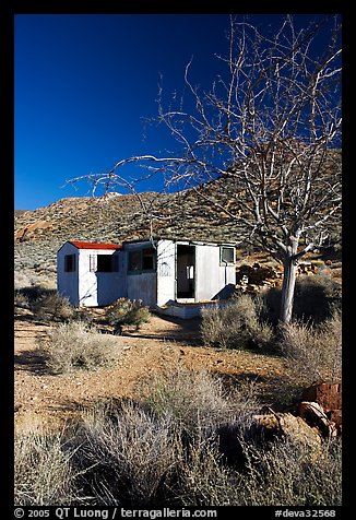 Cabin of Pete Aguereberry's mining camp in the Panamint Mountains, afternoon. Death Valley National Park, California, USA.