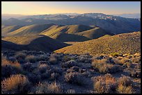 Tucki Mountains from Aguereberry point, late afternoon. Death Valley National Park ( color)