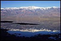 Telescope Peak and Panamint range reflected in a rare seasonal lake, early morning. Death Valley National Park, California, USA. (color)