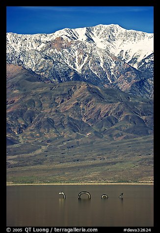 Telescope Peak, seasonal lake with dragon. Death Valley National Park, California, USA.