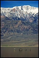 Telescope Peak, seasonal lake with dragon. Death Valley National Park, California, USA.