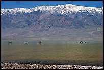 Kayakers padding towards the Loch Ness Monster in Manly Lake, below Telescope Peak. Death Valley National Park, California, USA.