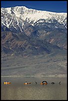 Kayakers near the Loch Ness Monster in Manly Lake, below Telescope Peak. Death Valley National Park ( color)