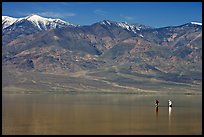 Tourists wading in the rare seasonal lake. Death Valley National Park, California, USA. (color)