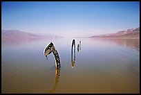 Loch Ness Monster art installation in rarissime seasonal lake. Death Valley National Park, California, USA. (color)