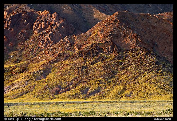 Desert Gold and mountains, late afternoon. Death Valley National Park, California, USA.