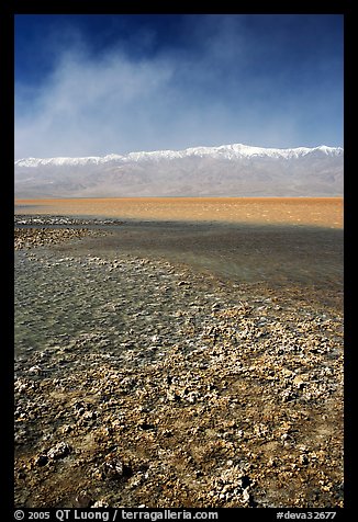 Salt formations on shore of Death Valley Lake, morning. Death Valley National Park, California, USA.