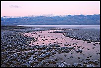 Pond and salt formations, Badwater, dawn. Death Valley National Park, California, USA.