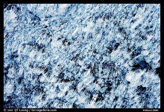 Close-up of salt formation. Death Valley National Park (color)