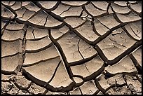 Mud cracks. Death Valley National Park, California, USA. (color)