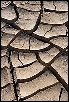 Cracked mud. Death Valley National Park, California, USA.