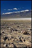 Rock field, salt flats, and Panamint Range, morning. Death Valley National Park, California, USA.