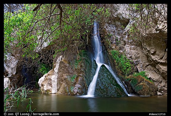 Darwin Falls desert oasis. Death Valley National Park, California, USA.