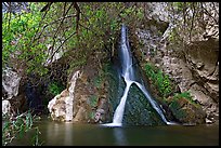 Darwin Falls desert oasis. Death Valley National Park ( color)