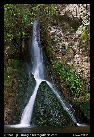 Darwin Falls, a rare desert waterfall. Death Valley National Park, California, USA.