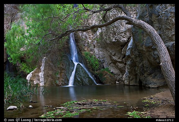 Desert Oasis with Darwin Falls. Death Valley National Park (color)