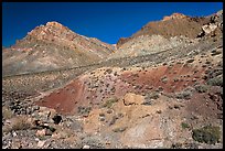 Slopes above Titus Canyon. Death Valley National Park ( color)